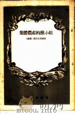 集体农庄的党小组   1954  PDF电子版封面    （苏）魏芝尼茨娜（А.Везеницика）著；清河译 