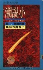 小说潮  联合报第十届小说奖作品集（1989 PDF版）