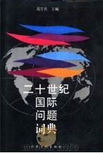 二十世纪国际问题词典   1994  PDF电子版封面  721401212X  沈学善主编 