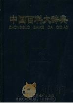 中国百科大辞典  2-4卷     PDF电子版封面     