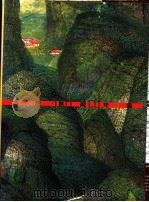 台湾美术年鉴  1995  艺术市场   1995  PDF电子版封面  9578980272  雄狮台湾美术年鉴编辑委员会编著 