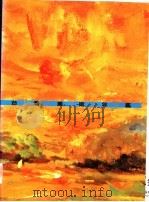 台湾美术年鉴  1996  年度总览（1995 PDF版）