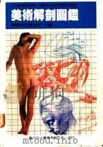 美术解剖图鉴   1987  PDF电子版封面    视觉设计研究所主编 