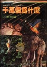 千万个为什么  2  动物篇   1981  PDF电子版封面    徐桂峰主编 