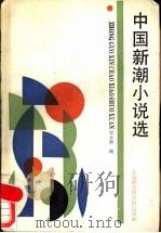 中国新潮小说选   1989  PDF电子版封面  7805152225  程永新编 
