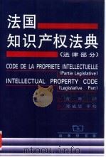 法国知识产权法典：法律部分（1999年07月第1版 PDF版）