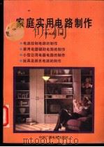 家庭实用电路制作   1991  PDF电子版封面  7504307467  李兴民编 