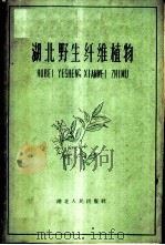 湖北野生纤维植物   1960  PDF电子版封面  T16106·242  中国科学院武汉植物园编 