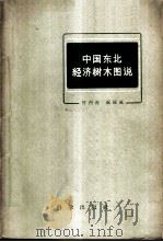 中国东北经济树木图说   1959  PDF电子版封面  13031·959  竹内亮，祝廷成编著 