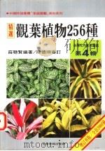 台湾花卉实用图鉴  第4辑  观叶植物256种   1998  PDF电子版封面  957970211X  薛聪贤编著 