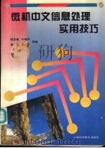 微机中文信息处理实用技巧   1996  PDF电子版封面  7542710486  钱澄海，叶绍华，吴坚，张军等编 