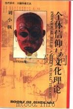 个体信仰与文化理论   1997  PDF电子版封面  7220038712  刘小枫著 