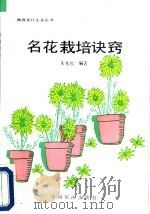 名花栽培诀窍   1990  PDF电子版封面  7503202912  朱秀珍编著 
