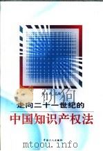 走向二十一世纪的中国知识产权法   1999  PDF电子版封面  7500820437  韩天森总编 