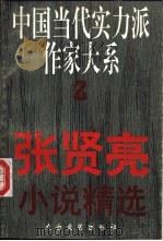 张贤亮小说精选（1995 PDF版）