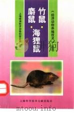 竹鼠·麝鼠·海狸鼠   1999  PDF电子版封面  7543914808  上海绿洲经济动物科技公司编 