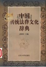 中国传统法律文化辞典   1999  PDF电子版封面  7301043023  武树臣主编 