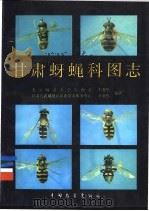 甘肃蚜蝇科图志   1990  PDF电子版封面  7505005561  李兆华，李亚哲编著 