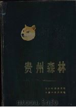 贵州森林   1992  PDF电子版封面  7805840601  周政贤主编；《贵州森林》编辑委员会编著 