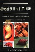 植物检疫害虫彩色图谱   1993  PDF电子版封面  7030036174  中国植物保护学会植物检疫学分会主编 
