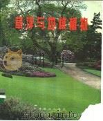 草坪与地被植物   1995  PDF电子版封面  7503813954  上海市林学会，胡中华，刘师汉编著 
