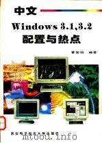 中文 Windows 3.1、3.2配置与热点   1996  PDF电子版封面  7560604358  曹国钧编著 