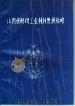 山西省纺织工业科技发展战略     PDF电子版封面     