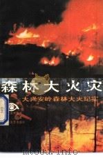 森林大火灾  大兴安岭森林大火纪实   1987  PDF电子版封面  7539900539  乔迈著 