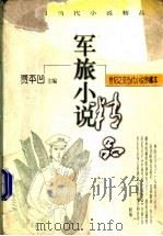 军旅小说  下（1998 PDF版）