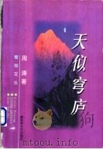 天似穹庐   1998  PDF电子版封面  7503309784  周涛著 