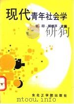 现代青年社会学   1992  PDF电子版封面  7810064495  李印，郑银平主编 