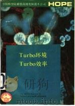 TURBO环境TURBO效率 Sidckick、Supcrkcy和Turbc Lingtning的妙用   1991  PDF电子版封面    赵垣永等编译 