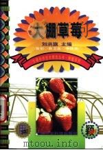 大棚草莓   1999  PDF电子版封面  780119697X  刘洪旗主编 