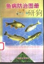 鱼病防治图册   1997  PDF电子版封面  7800960803  曾立文编 