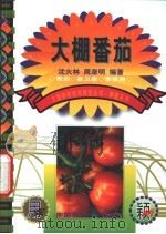 大棚番茄   1999  PDF电子版封面  7801196287  沈火林，周彦明编著 