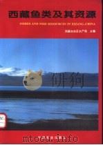 西藏鱼类及其资源   1995  PDF电子版封面  7109041115  西藏自治区水产局主编 