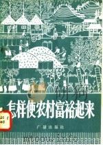 怎样使农村富裕起来  广播对话   1981  PDF电子版封面  4236·003  北京人民广播电台农村部编 