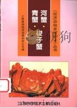 河蟹·青蟹·梭子蟹   1997  PDF电子版封面  7543910624  上海绿洲经济动物科技公司编 