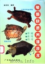 龟鳖快速养殖技术   1996  PDF电子版封面  7806320504  温桂敖编著 
