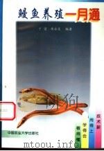 鳗鱼养殖一月通   1998  PDF电子版封面  7810028960  丁雷，岳永生编著 