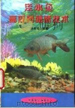 淡水鱼高效养殖新技术   1998  PDF电子版封面  7800960587  徐桂珍编著 