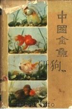 中国金鱼   1983  PDF电子版封面  16212·19  伍惠生，傅毅远编著 