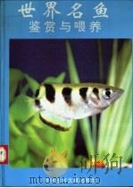 世界名鱼鉴赏与喂养   1993  PDF电子版封面  7502318844  北京罗福公司信息部编著 