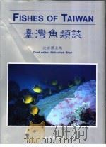 台湾鱼类志   1993  PDF电子版封面  9579019444  沈世杰主编 