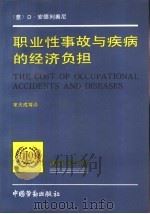 职业性事故与疾病的经济负担   1992  PDF电子版封面  7504509914  （意）安德列奥尼（Andreoni，Diego）著；宋大成等 