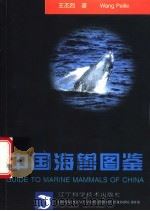 中国海兽图鉴   1996  PDF电子版封面  7538123245  王丕烈著 