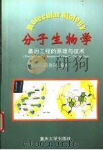 分子生物学  基因工程的原理与技术   1999  PDF电子版封面  7562420173  范维珂编著 