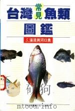 台湾常见鱼类图鉴  5  溪流与河口鱼   1990  PDF电子版封面  9579476306  李嘉亮编著 