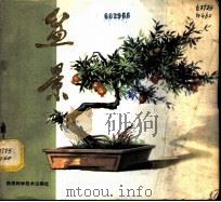 盆景   1980  PDF电子版封面  8202·1  黄景离，武秀兰，刘志堂，何启泽编 