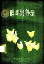 群鸡饲养法   1973  PDF电子版封面  16111·194  广东省农业局，广东省农业科学院编 